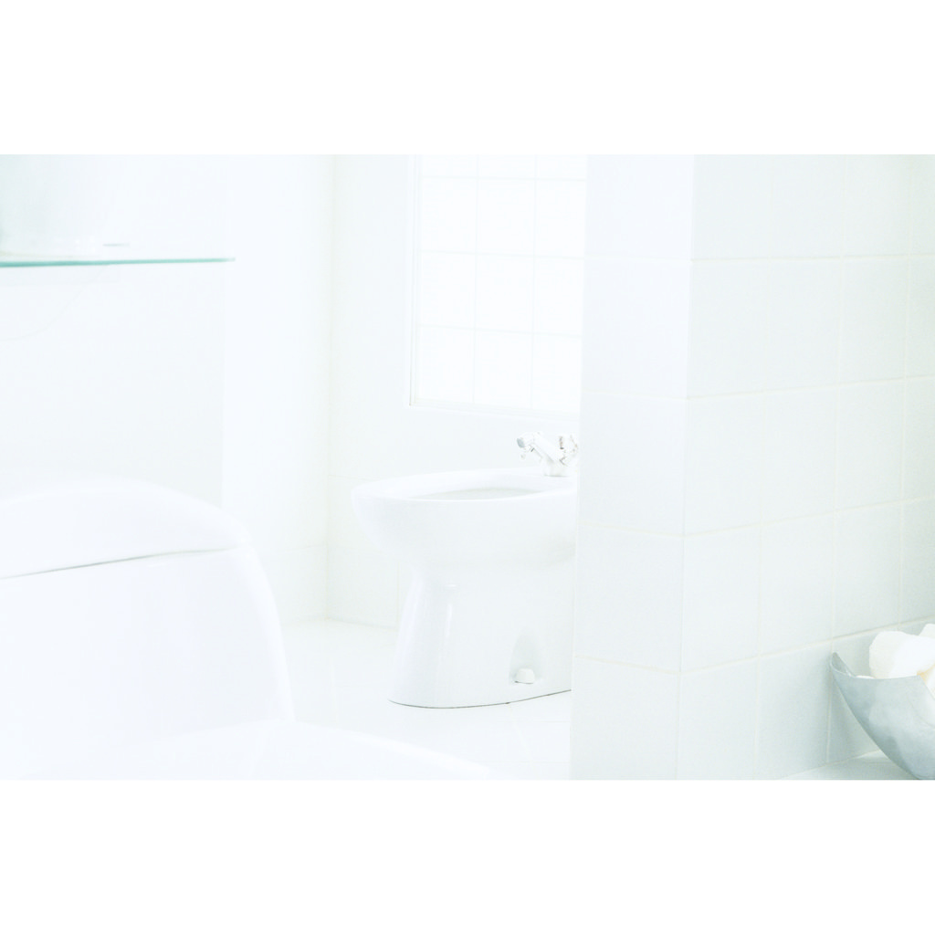 TOTO BT500B Piedmont Vertical Spray Bidet Cotton 4