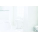 TOTO BT500B Piedmont Vertical Spray Bidet Cotton 4
